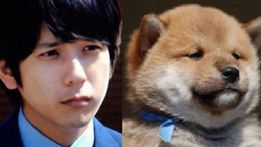 最強の愛され力を持つ男！犬系男子ともまた違うワンコ系男子の特徴