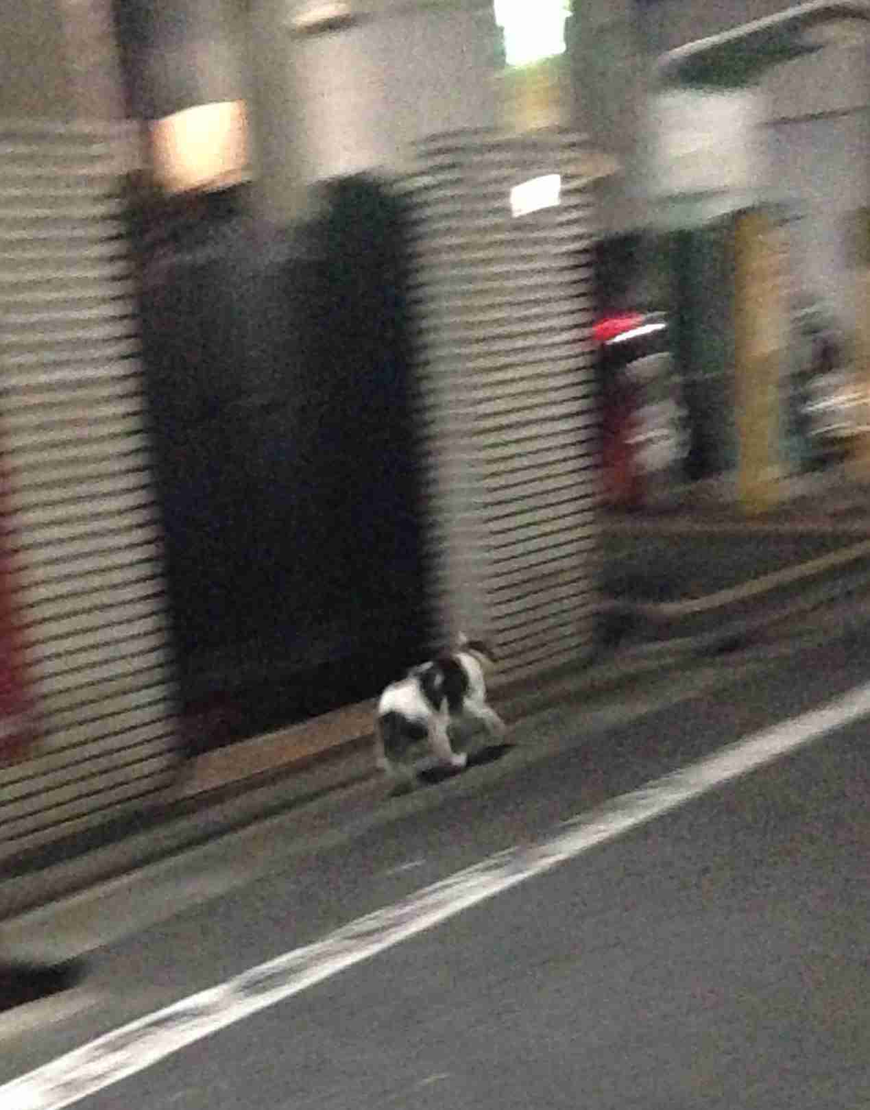 【眠い人限定】何かしら書き込んでさっさと寝るトピ