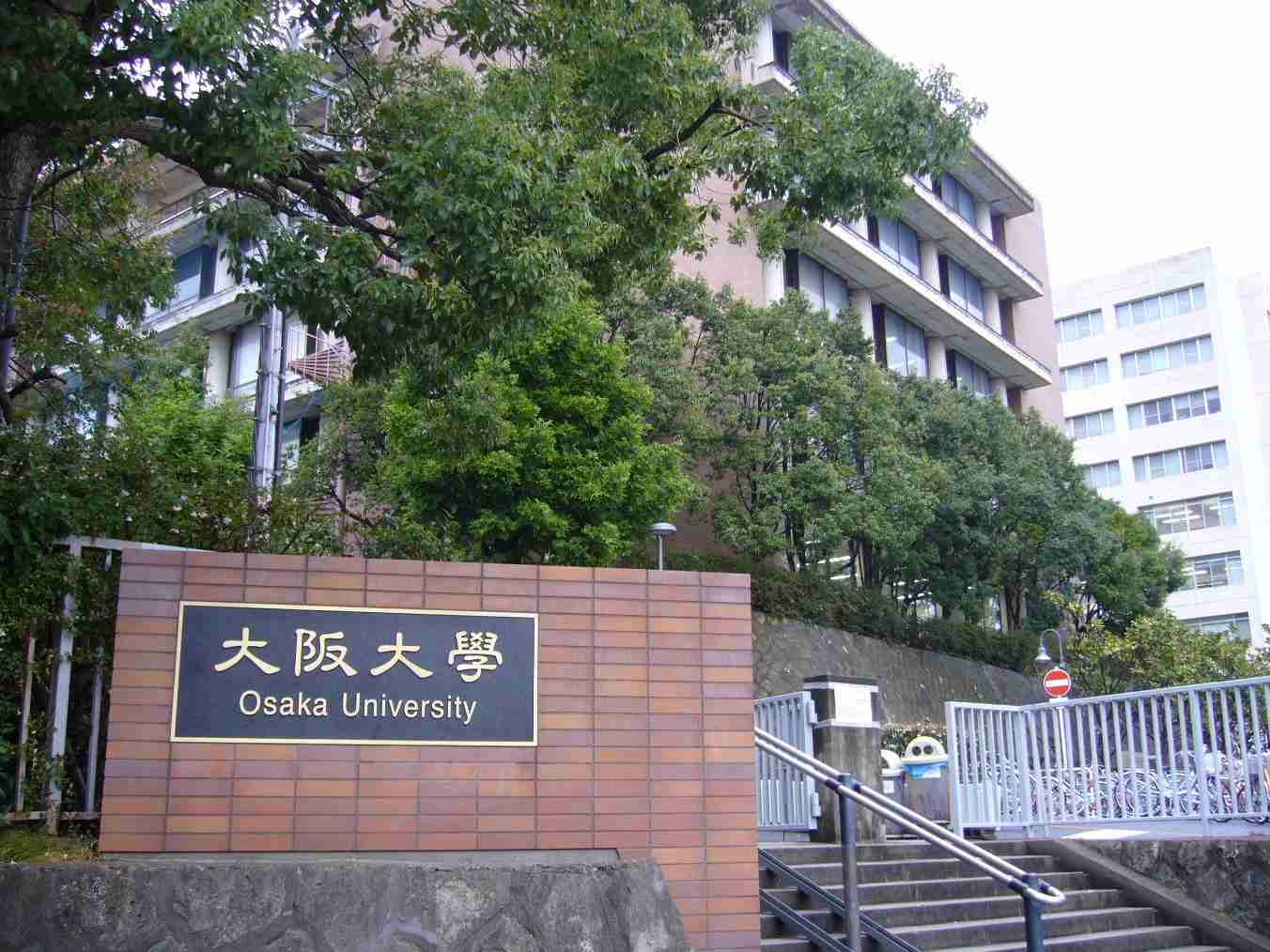 大学や学部、どうやって決めましたか？