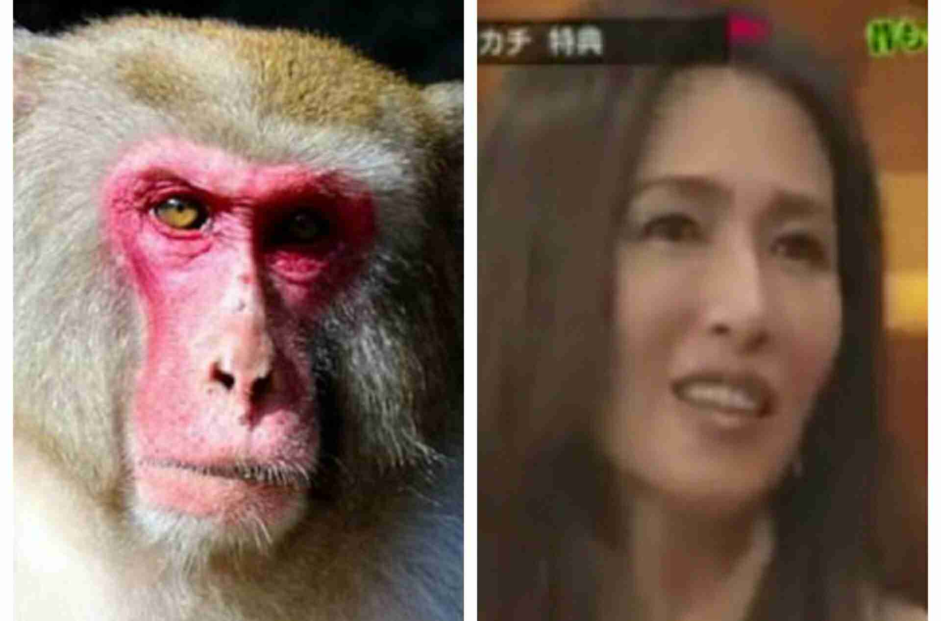 工藤静香のインスタが大暴走で木村拓哉も「ちょ、待てよ！」と心配か