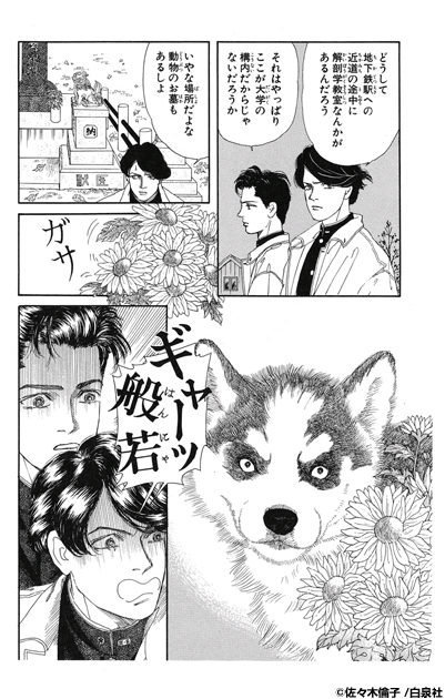 読んだ事のある少女漫画にプラス