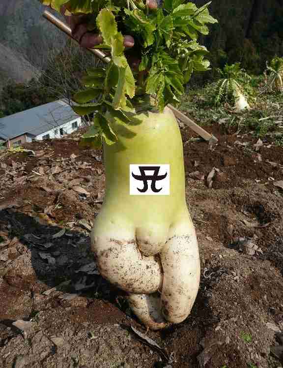 浜崎あゆみ、豊かな谷間強調の春色大人ドレス姿写真公開で「肌のぷるぷるなこと」「春の妖精かよっ」