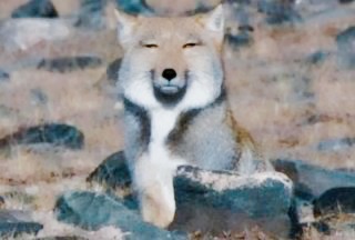 浜崎あゆみ、豊かな谷間強調の春色大人ドレス姿写真公開で「肌のぷるぷるなこと」「春の妖精かよっ」