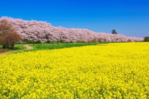 日本の美しい風景の画像を貼るトピ