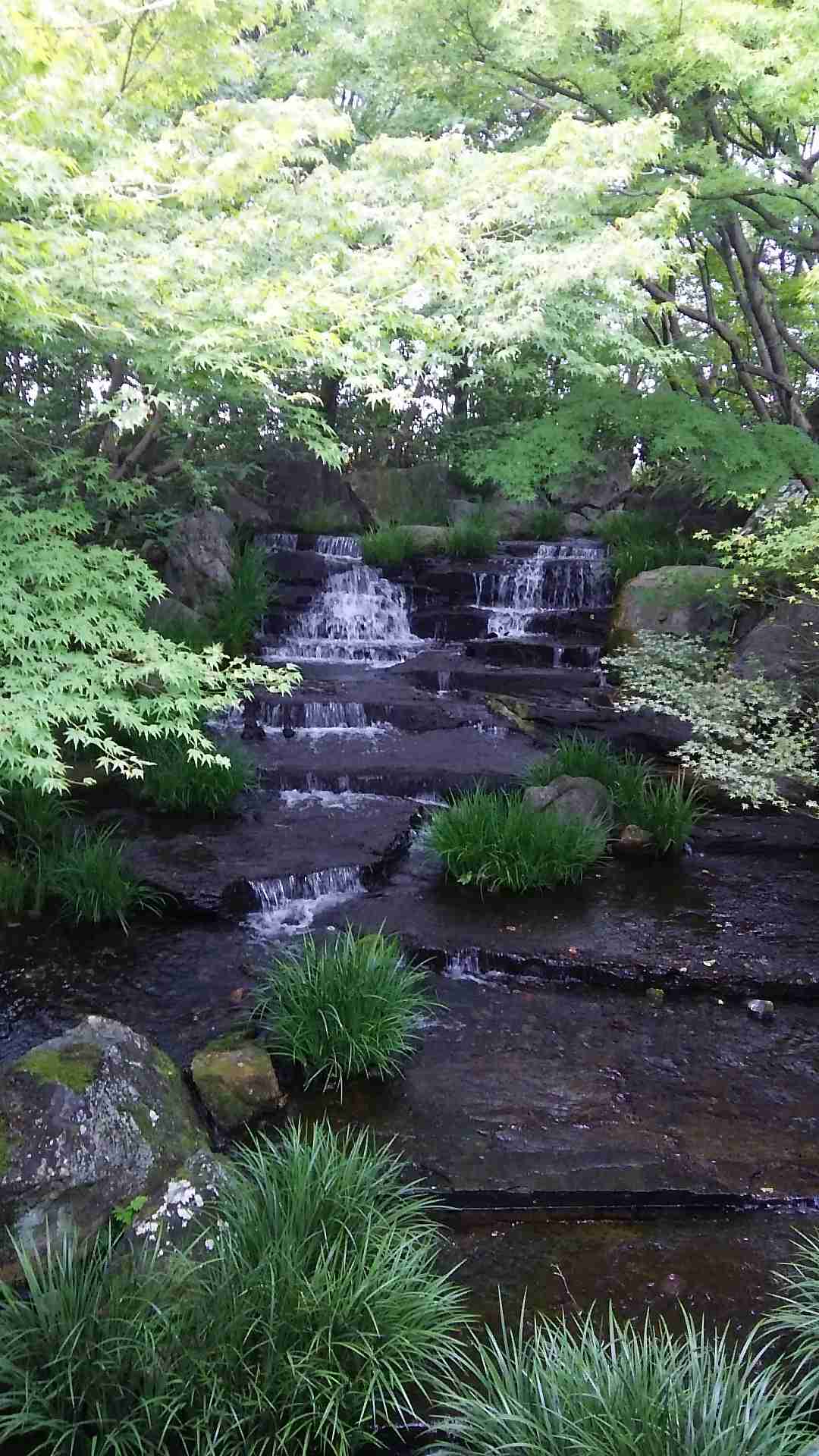 日本の美しい風景の画像を貼るトピ