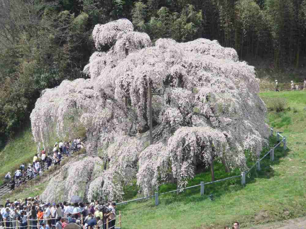 日本の美しい風景の画像を貼るトピ