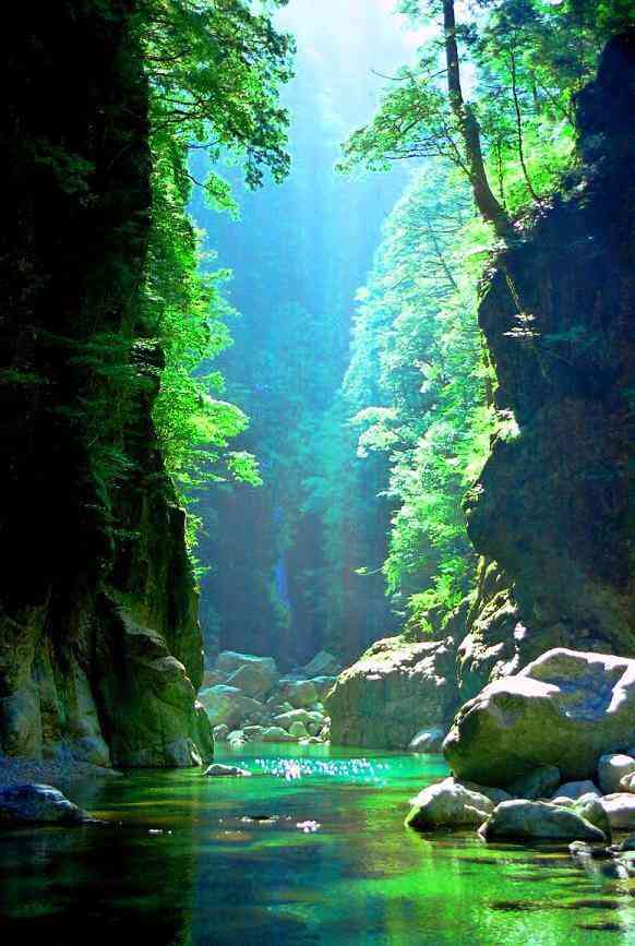 日本の美しい風景の画像を貼るトピ