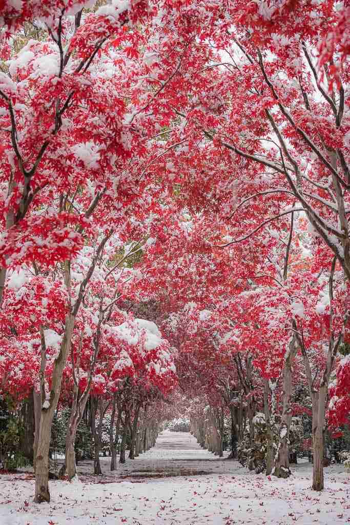日本の美しい風景の画像を貼るトピ