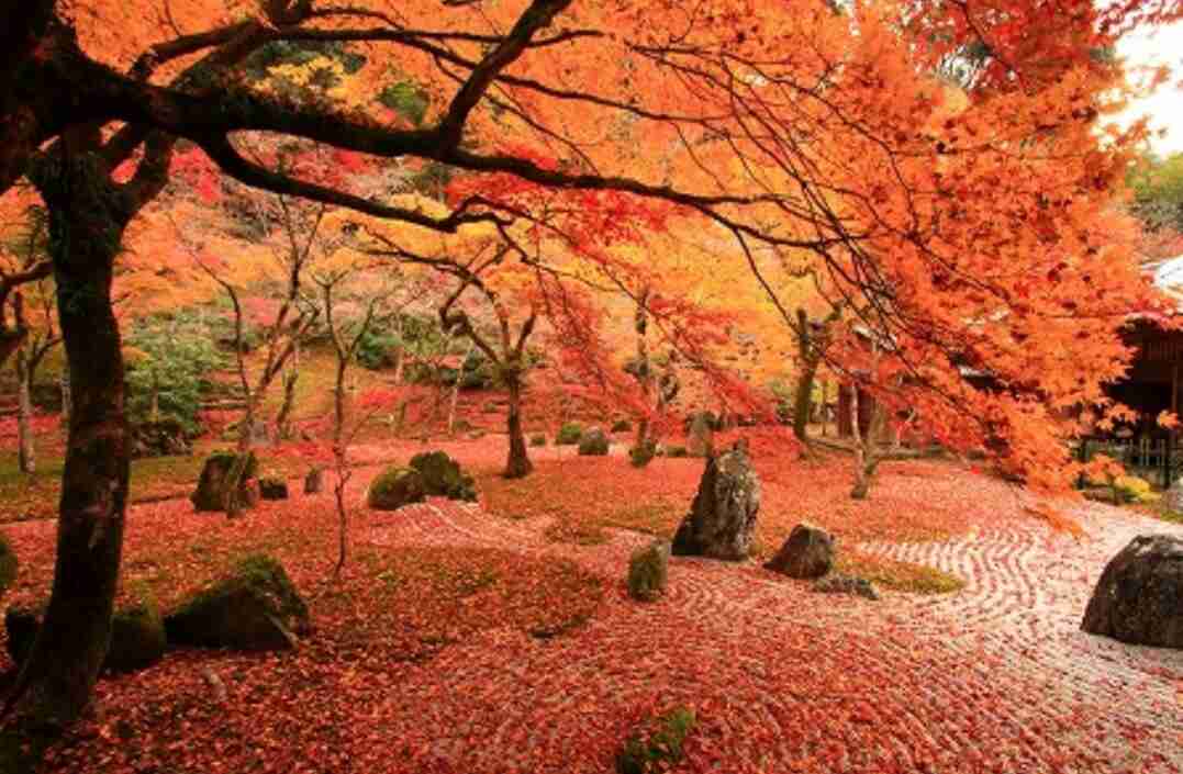 日本の美しい風景の画像を貼るトピ