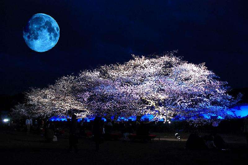 日本の美しい風景の画像を貼るトピ