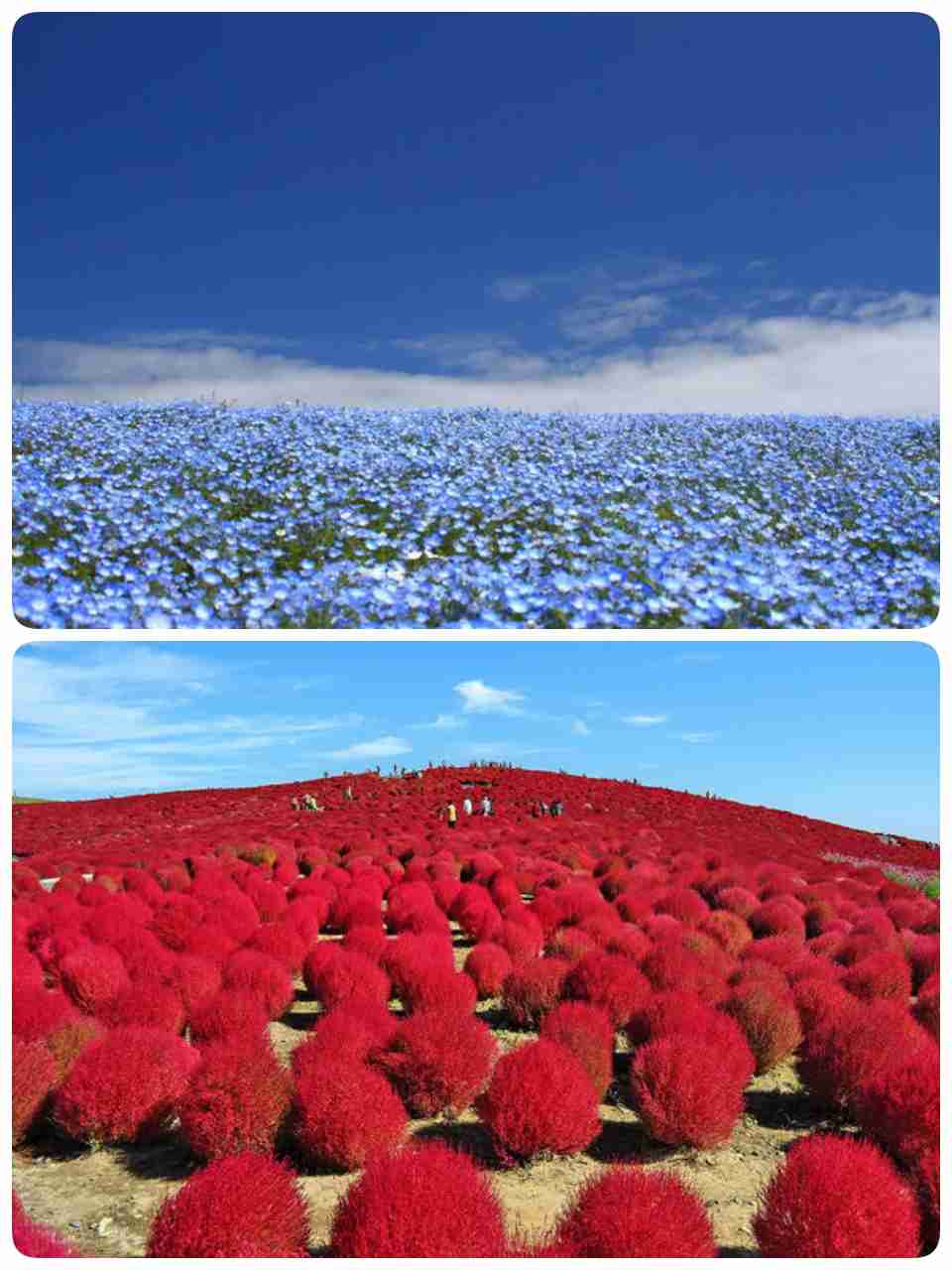 日本の美しい風景の画像を貼るトピ