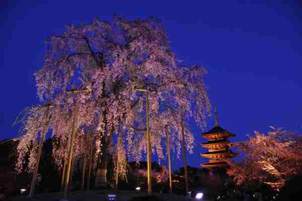 日本の美しい風景の画像を貼るトピ