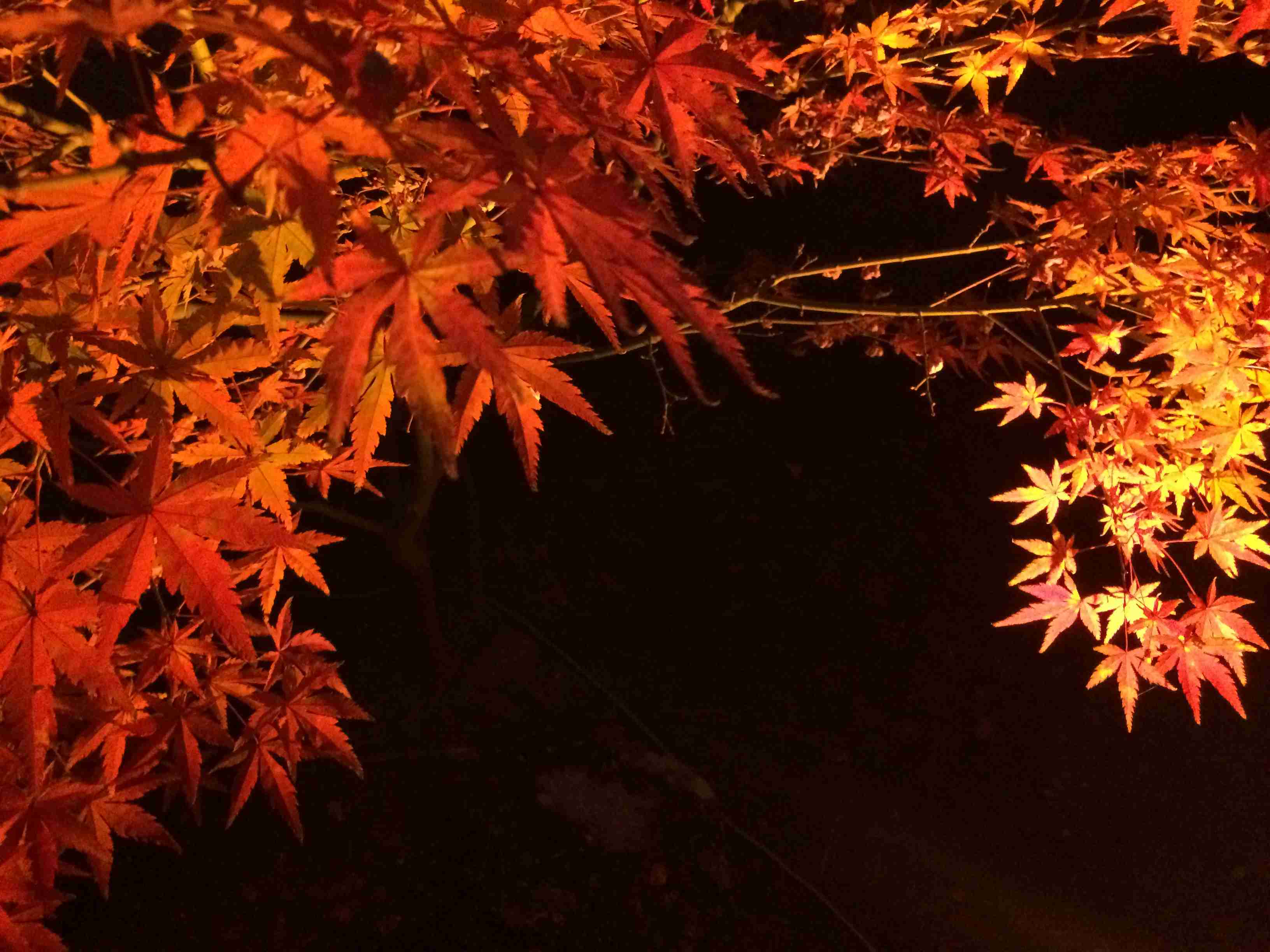 日本の美しい風景の画像を貼るトピ
