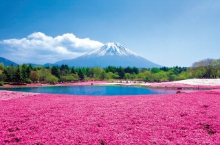 日本の美しい風景の画像を貼るトピ