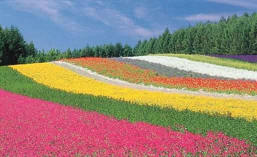 日本の美しい風景の画像を貼るトピ