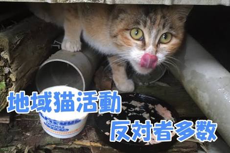日本の美しい風景の画像を貼るトピ