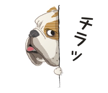 動物の色んなポーズ