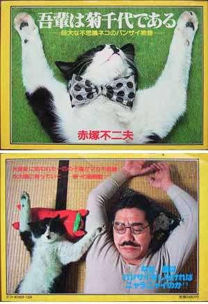 動物の色んなポーズ