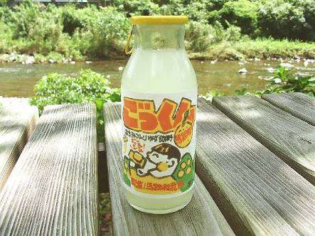 高知県について！！