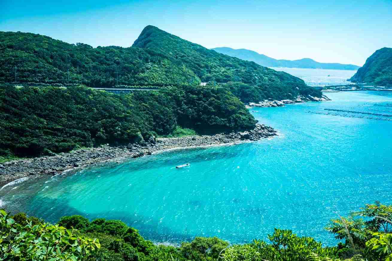 高知県について！！
