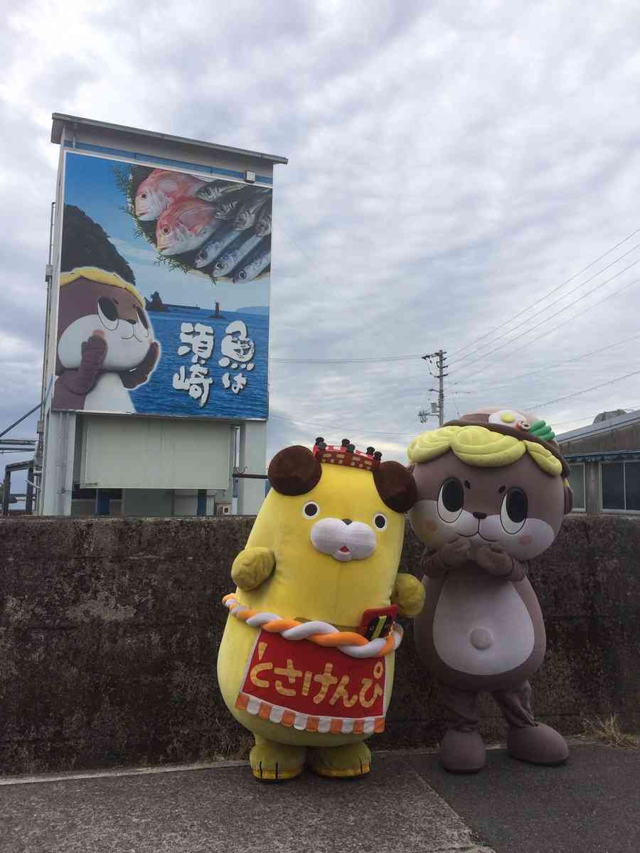 高知県について！！