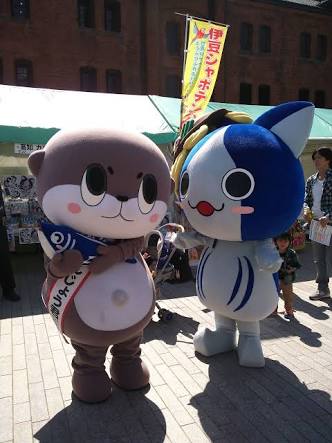 高知県について！！