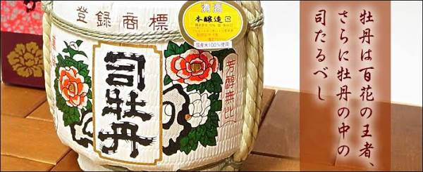 高知県について！！