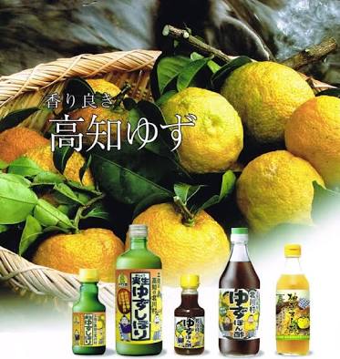 高知県について！！