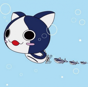 高知県について！！