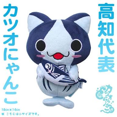 高知県について！！