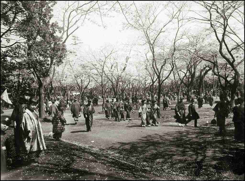 幕末～戦前の写真が見たい