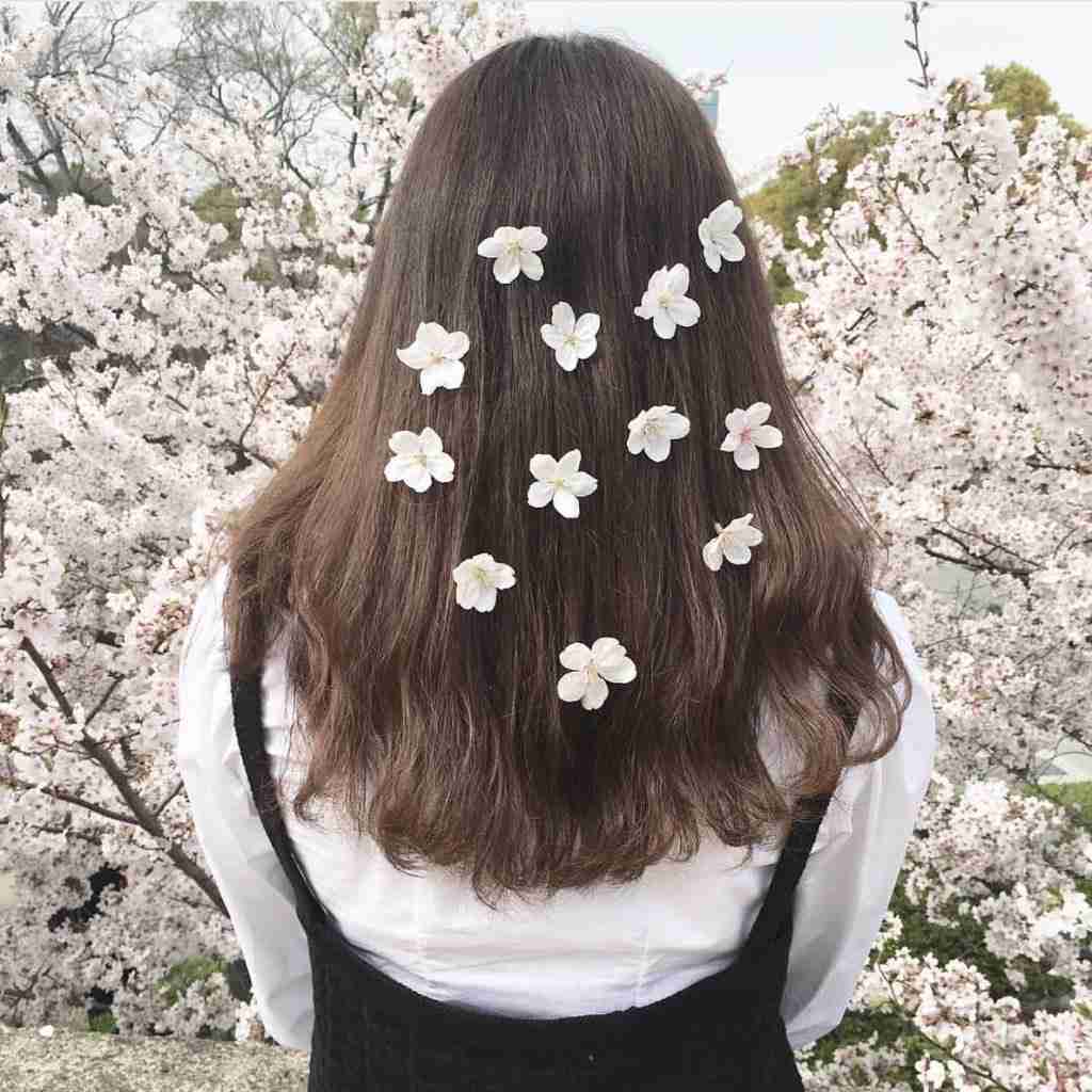 幕末～戦前の写真が見たい