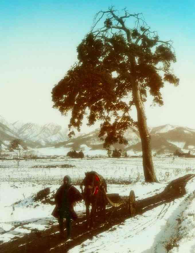 幕末～戦前の写真が見たい