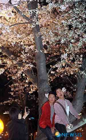 幕末～戦前の写真が見たい