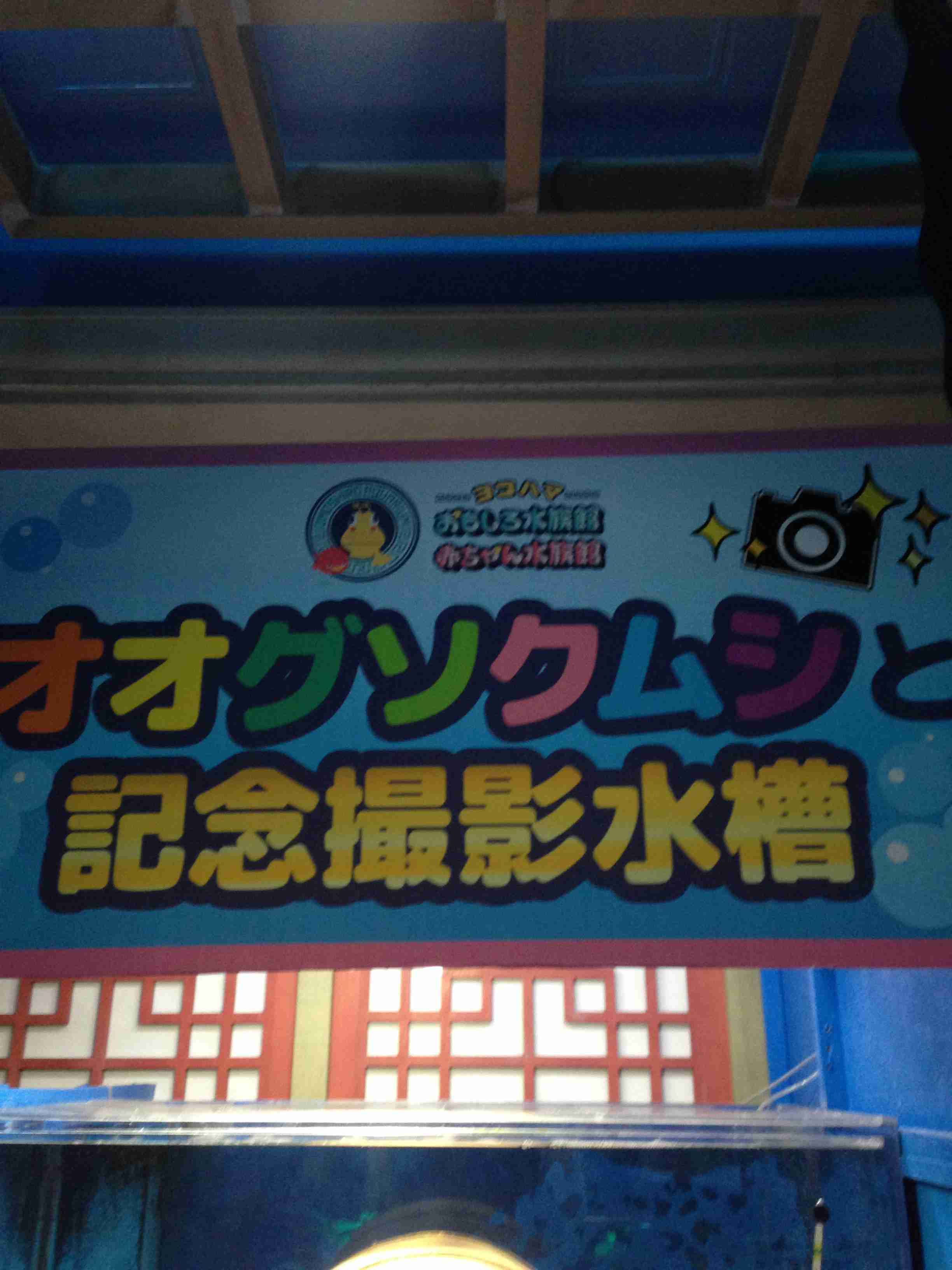 【平日昼間】おひとりさまのオススメスポット【都内近郊】