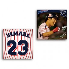 民進党について語ろう