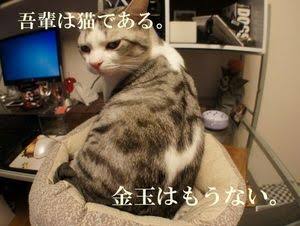 担任の先生になってほしい芸能人