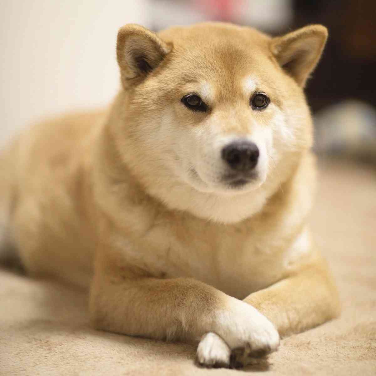 好きな芸能人だったらお金払ってでも抱かれたい？