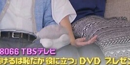 新垣結衣「逃げ恥」チームへのプレゼンターで星野源とのコンビ復活
