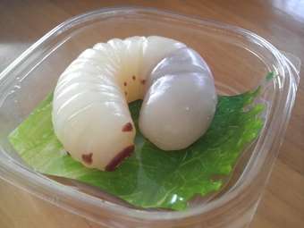 本物そっくりや見間違える商品の画像を集めよう！