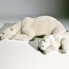 本物そっくりや見間違える商品の画像を集めよう！