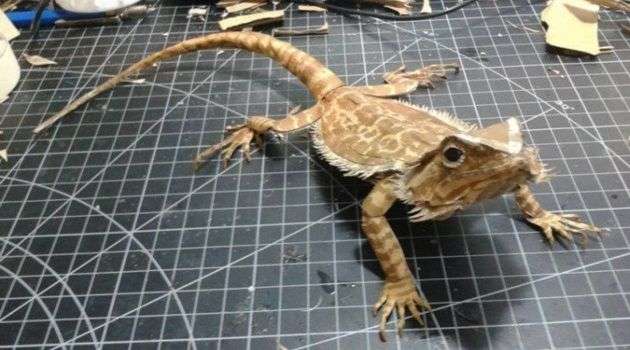 本物そっくりや見間違える商品の画像を集めよう！