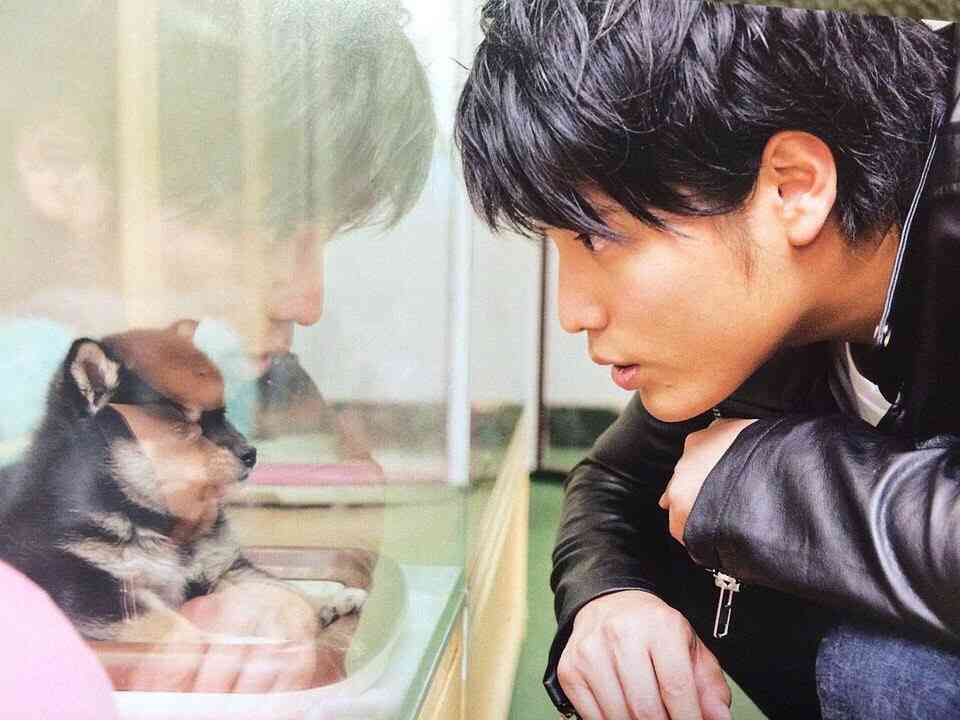 ジャニーズWESTが好きな人集まれ Part2