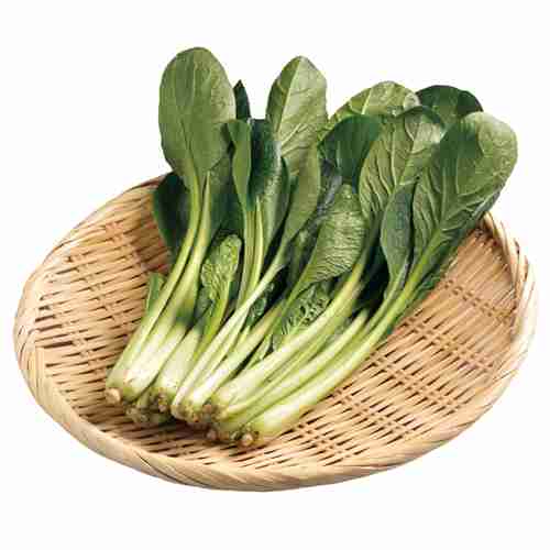出番の多い野菜は何ですか?