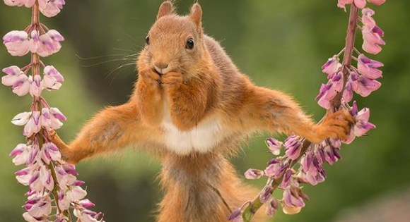 欅坂46渡邉理佐、グループ初の専属モデル就任 ファッション誌『non-no』に抜てき