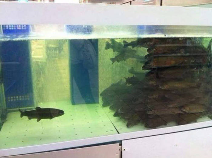 寂しげな画像を貼って『寂しいのは私だけじゃないんだ！』と強くなっていくトピ