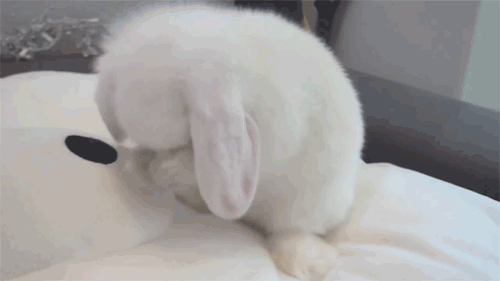 【雑談トピ】春が待ち遠しい人〜