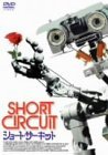 好きなラブストーリーの映画