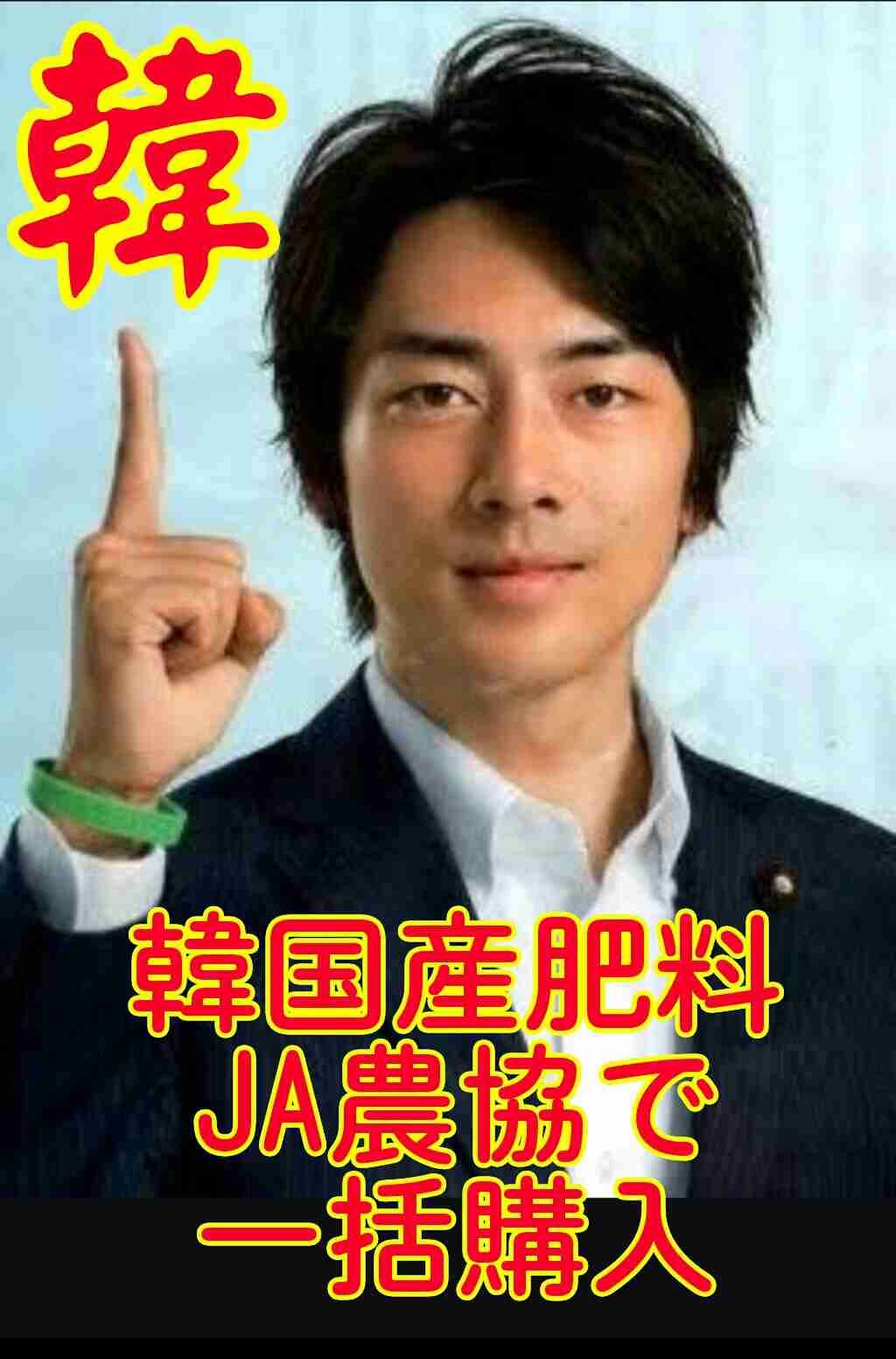 悪い事をしていない政治家って居ると思いますか？