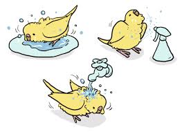 現在好きな動物ランキング1位の動物